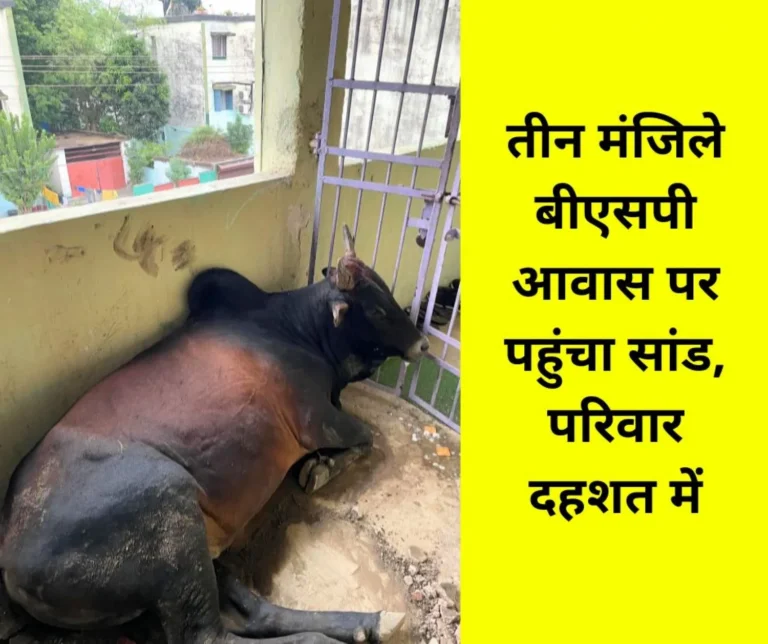 BHILAI-TOWNSHIP-Family-of-Bhilai-steel-plant-employee-in-terror_-animals-at-home