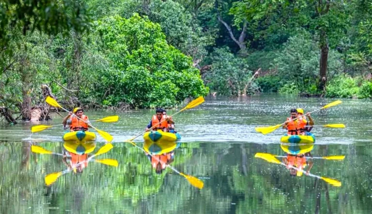 United Nations World Tourism Organization gave new identity to this village of Bastar, CM Sai congratulated