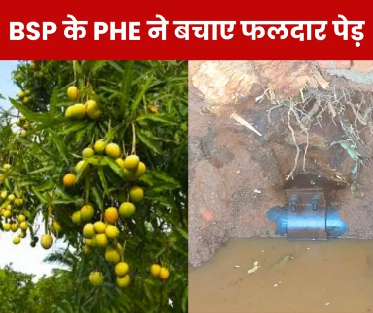Bhilai Steel Plant supplied water to homes without cutting fruit trees, PHE praised