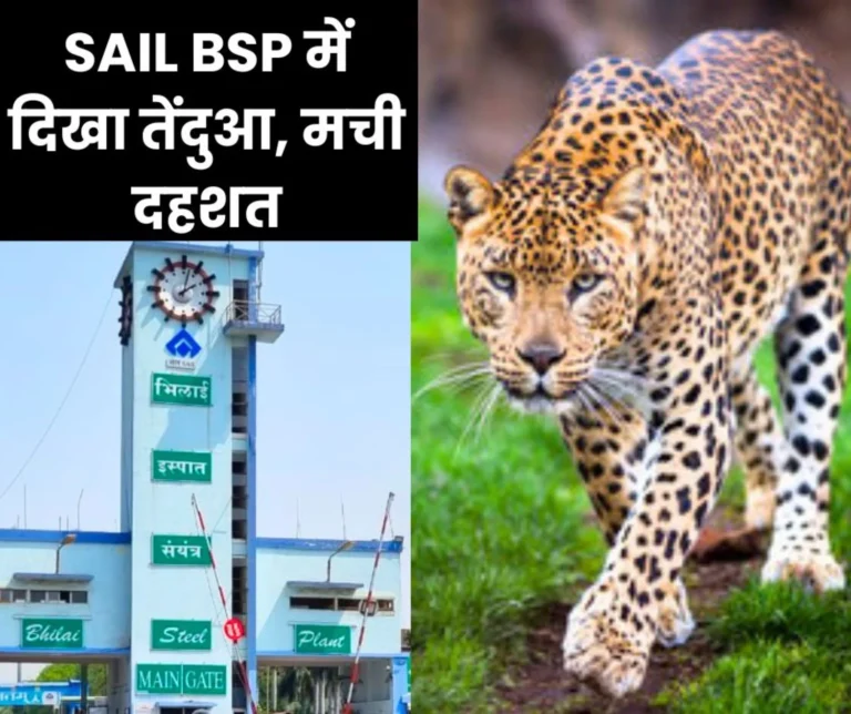 Breaking News: Leopard seen in Bhilai Steel Plant, employees in panic