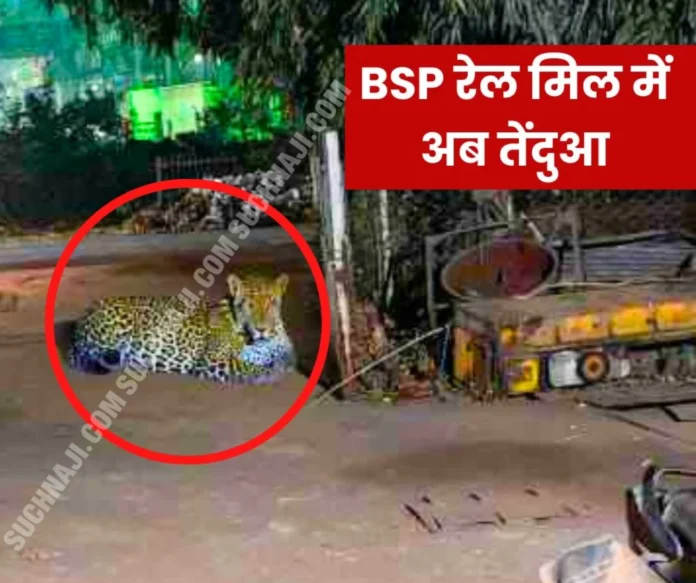 Breaking News: Leopard sitting near the rail of Bhilai Steel Plant, forest department surrounded, created panic