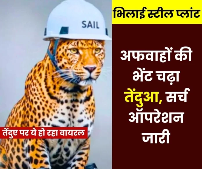 Is the leopard lurking somewhere in Bhilai Steel Plant or outside the gate?