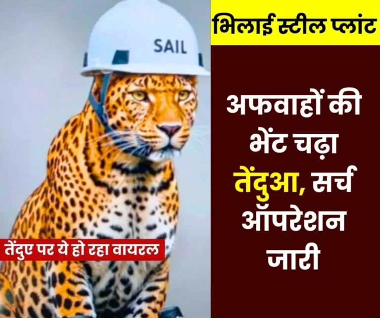 Is the leopard lurking somewhere in Bhilai Steel Plant or outside the gate?