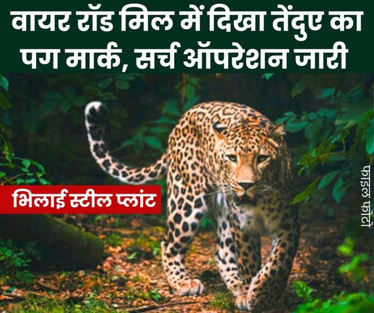 ये खबर भी पढ़ें: SAIL Foundation Day 2025: भिलाई स्टील प्लांट के 65 कर्मचारियों-अधिकारियों को मिला दीर्घ सेवा सम्मान