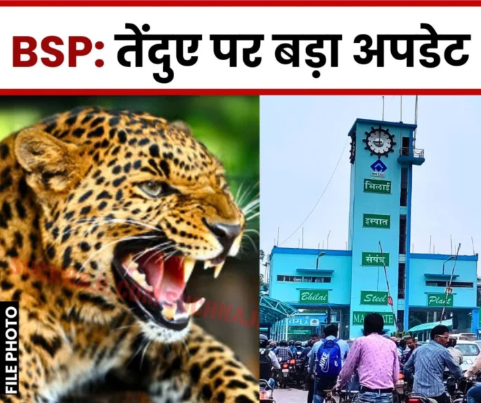 Breaking News: Big update on leopard in Bhilai Steel Plant, Panchnama will be ready