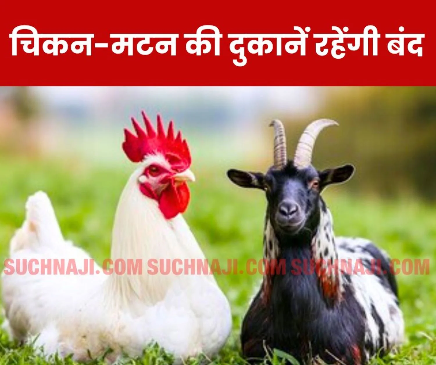 Chicken-mutton shops will remain closed on this day, action will be taken against those selling and buying