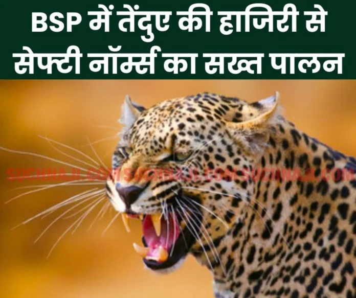 Leopard ensured safety norms were followed in Bhilai Steel Plant