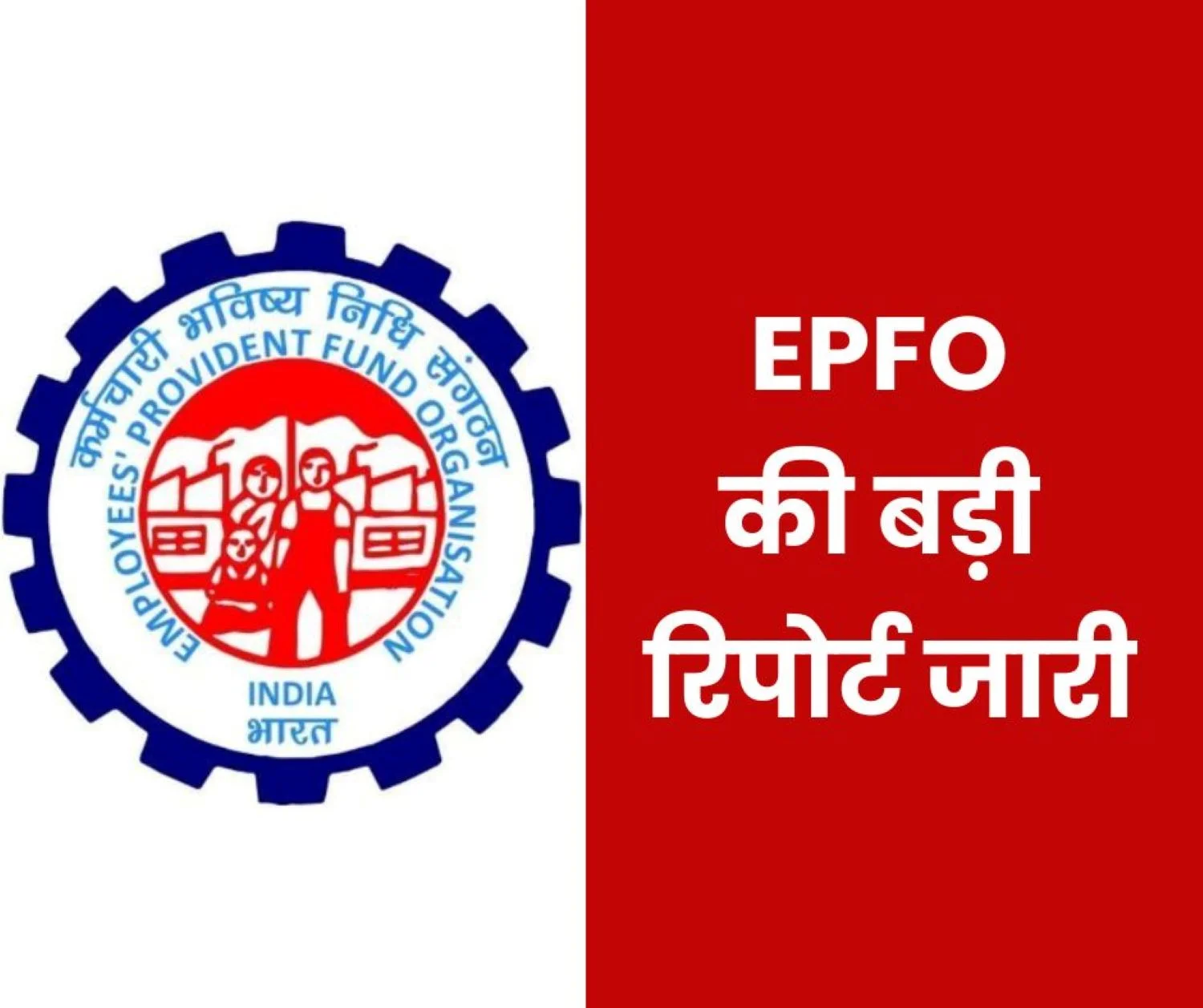 Employees Provident Fund Organization: Latest report of EPFO released, 17.89 lakh members added in January 2025