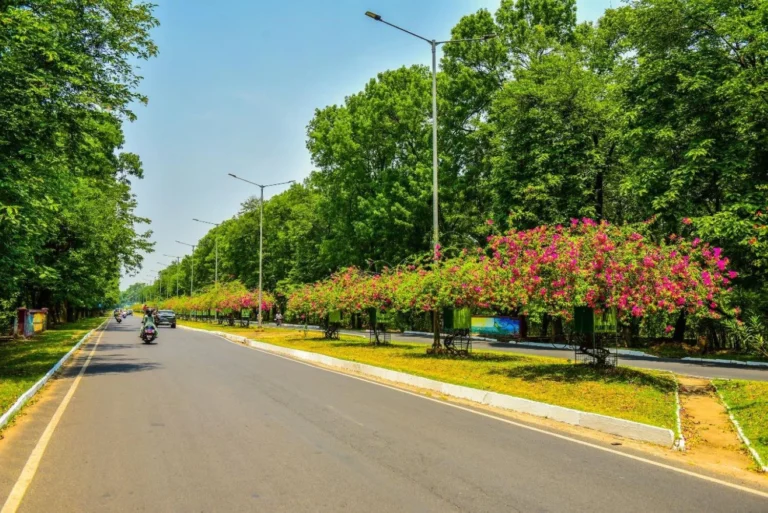 This is not a foreign land with a view like heaven, it is Rourkela township, spring of flowers has arrived
