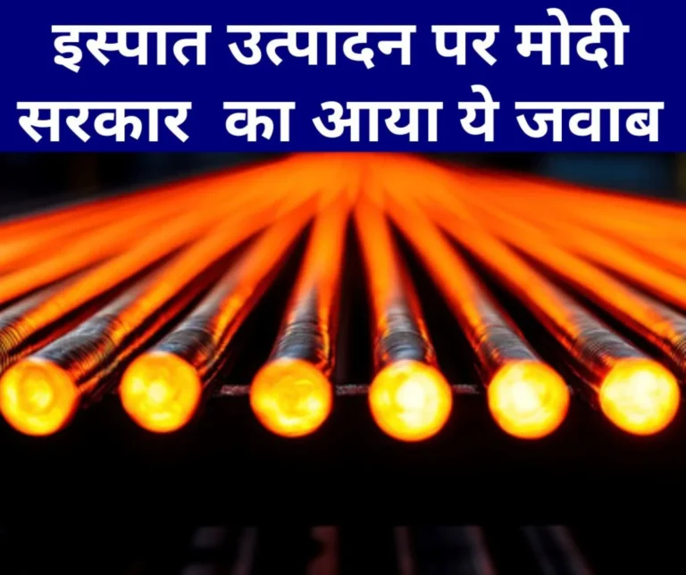 This is the government's answer on steel production and policies in India