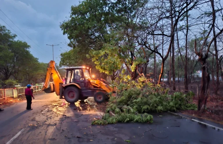 75 trees broke in Bhilai township due to storm, 42 tree branches fell on power lines, power crisis is getting resolved