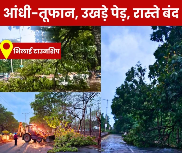 Trees uprooted in the storm 15 trees fell on the main roads of Bhilai township, road closed power cut (1)
