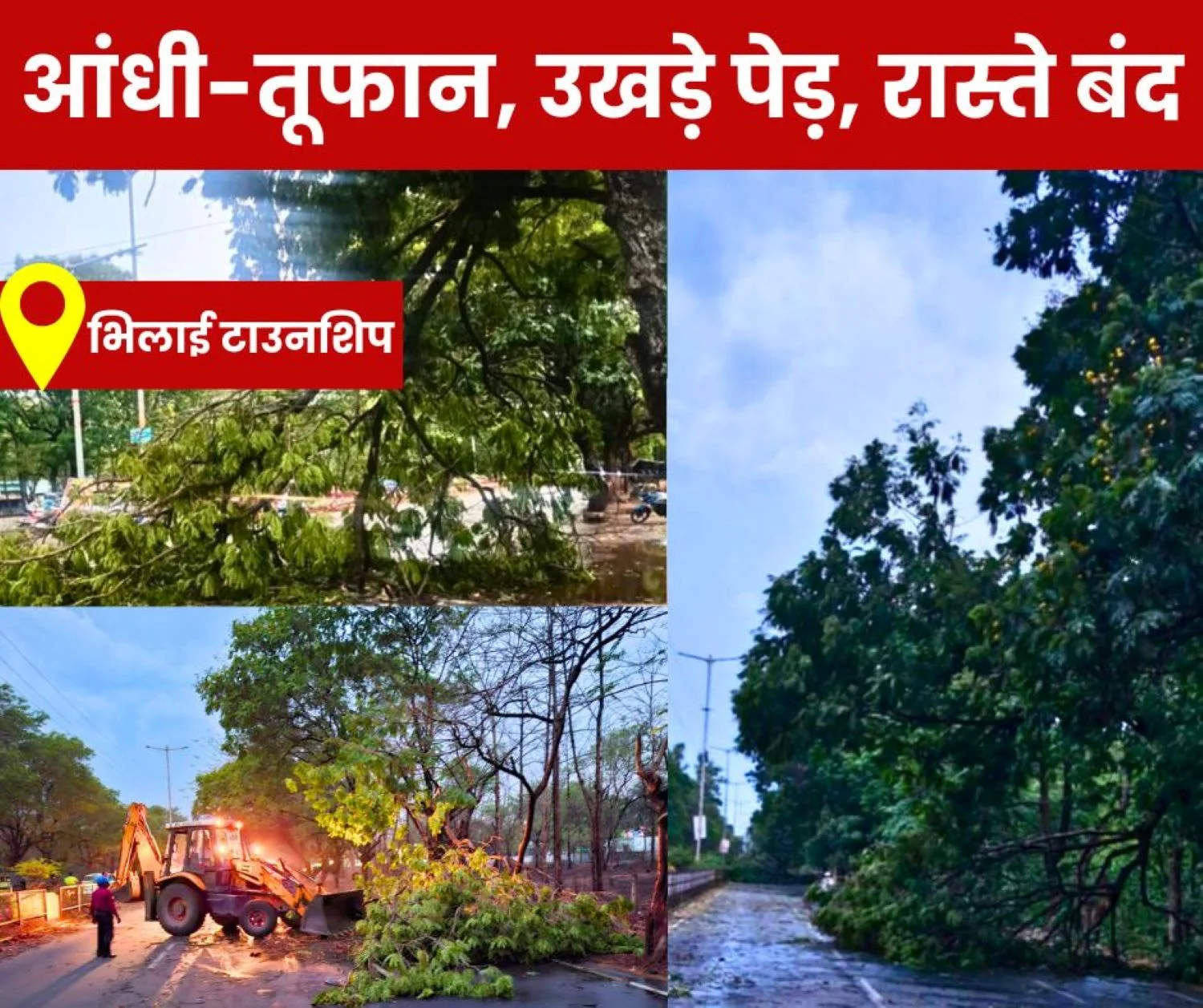 Trees uprooted in the storm 15 trees fell on the main roads of Bhilai township, road closed power cut (1)