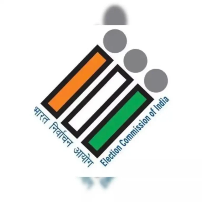 Integrated digital platform for election services will be launched soon