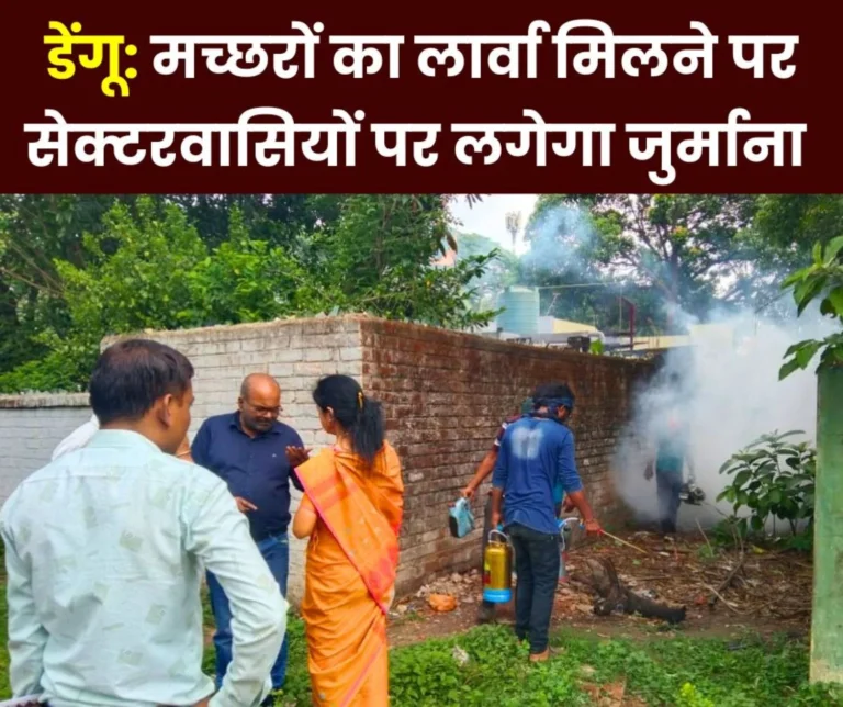 Any house in Bhilai township where dengue or mosquito larvae are found will be fined