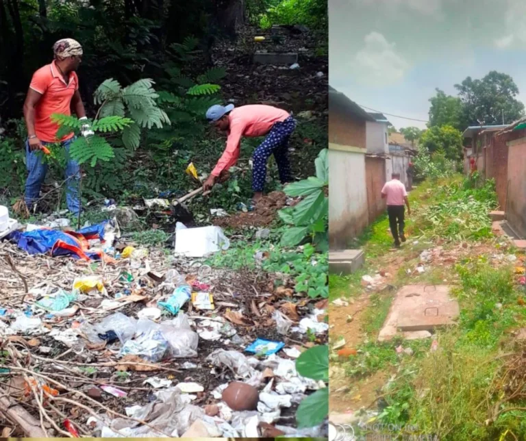 Backline cleaning started in Bhilai township, if it is not being done in your sector then call here