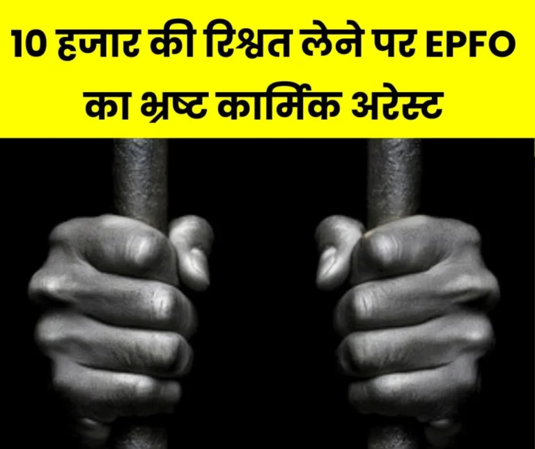 Bribe taking employee of Employees Provident Fund Organization arrested had demanded bribe of Rs 10 thousand