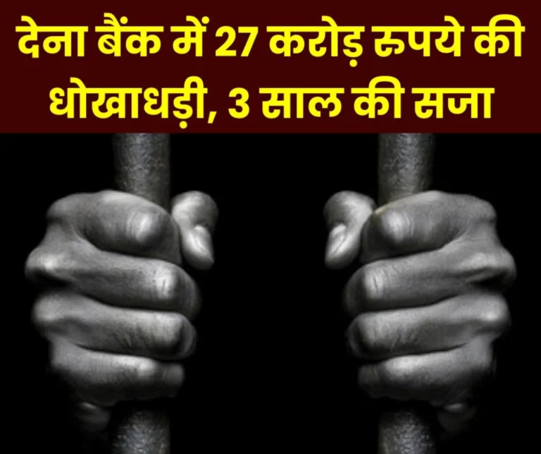 Misuse of Dena Bank's letter of credit facility, fraud of Rs 27.19 crore, 3 years imprisonment