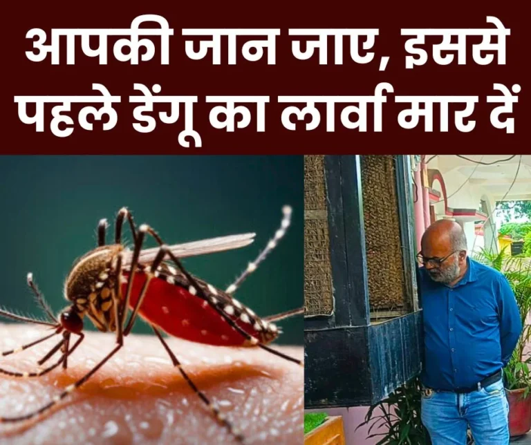 Do not let dengue spread in Bhilai township, BSP will impose penalty on any house where larvae are found