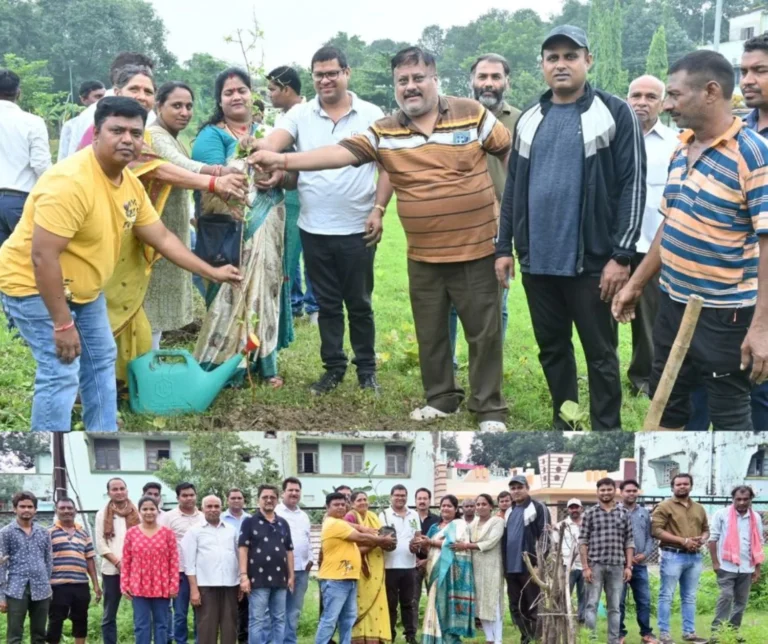 The commissioner of Bhilai Municipal Corporation first did Shramdaan and then planted fruit and flower plants