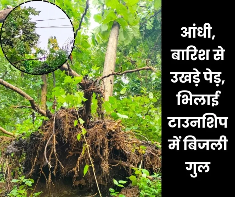 Blackout in Bhilai Township Due To Storm and Rain Trees Fell Down Power Cut in Half The Sector (1)