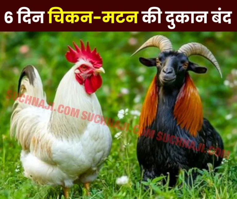 Chicken and Mutton Shops Will Remain Closed For 6 Days in Chhattisgarh Read The Date
