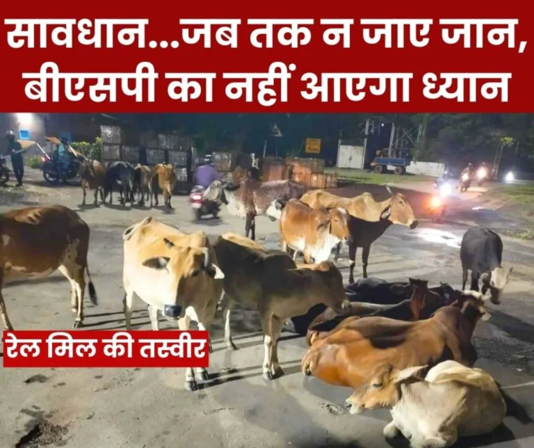 Bhilai Steel Plant The lives of Officers and Employees are Worth Less Than Animals, News of Death will Come