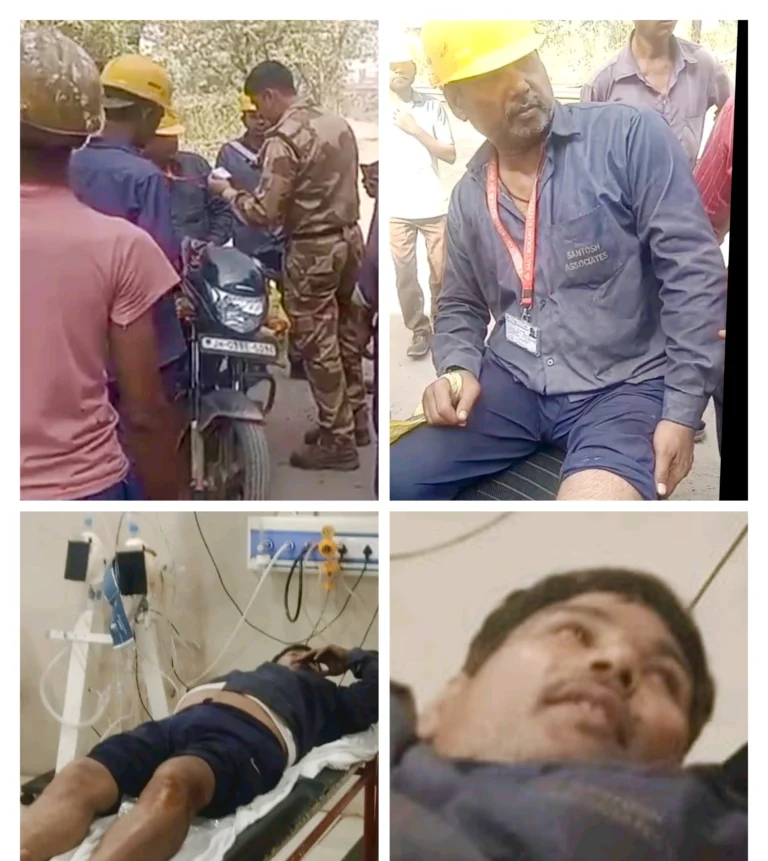 IMG_20251012_114320 (1)