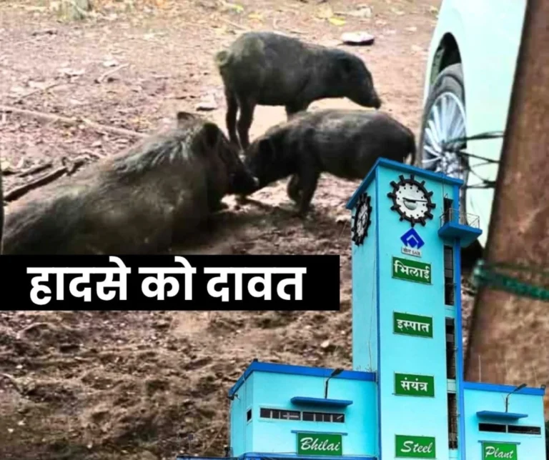 Invitation to an Accident at Bhilai Steel Plant The Picture is Coming as if Pig Farming is Going on (1)