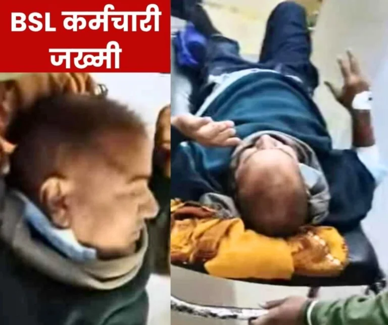 Bokaro Steel Plant Employee Injured in Road Accident in Sector 2Admitted to BGH