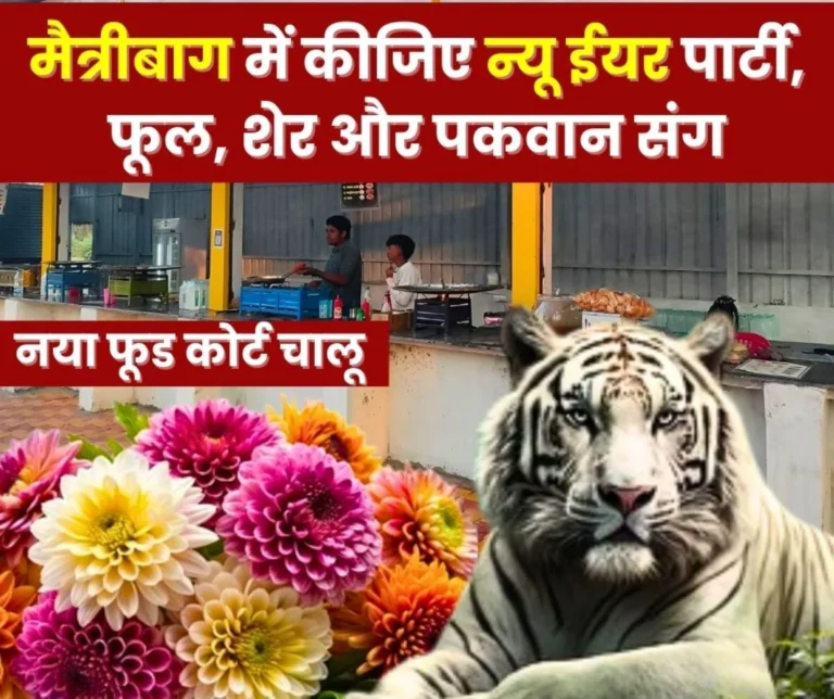 Celebrate New Year at Maitribag thousands of People will be Present Book Tickets Online and Enjoy the Delicious Food at the Food Court