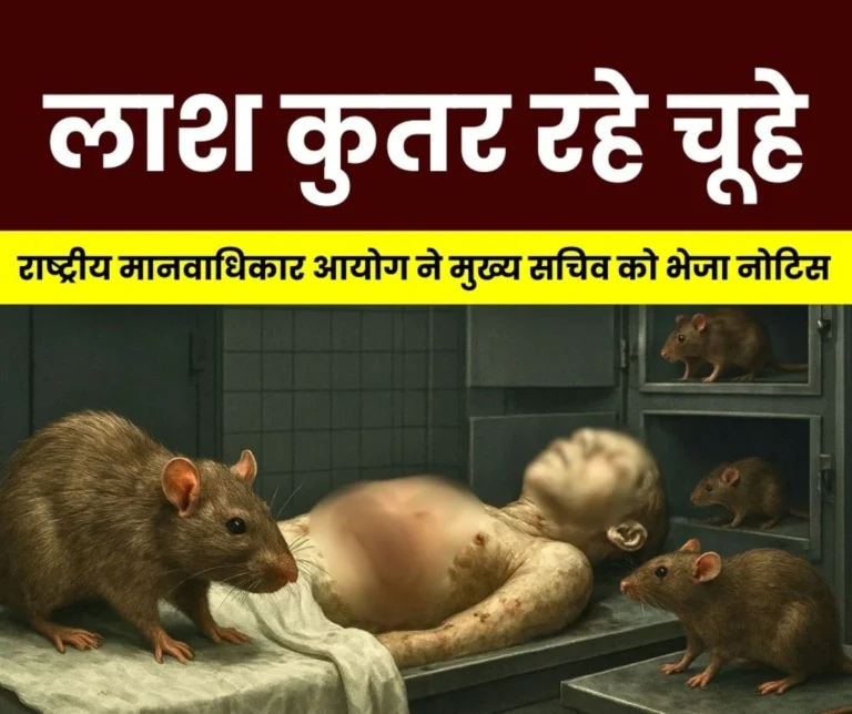 Rats Gnawing at Dead Bodies in the Mortuary