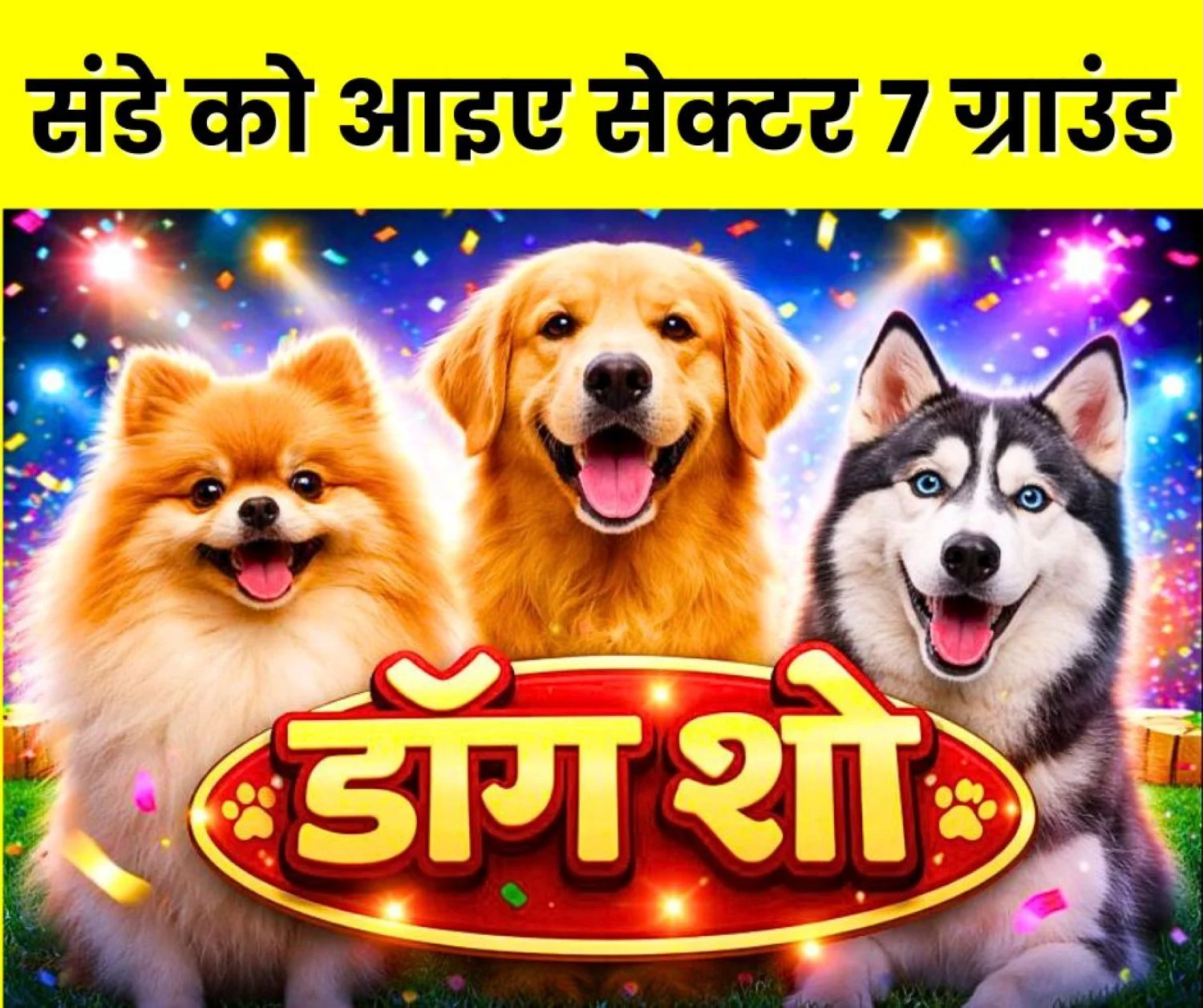 Dog Show in Bhilai on January 18 Dogs from CG, Maharashtra, Odisha will be seen, Makeup will also be Done in Beauty Parlors