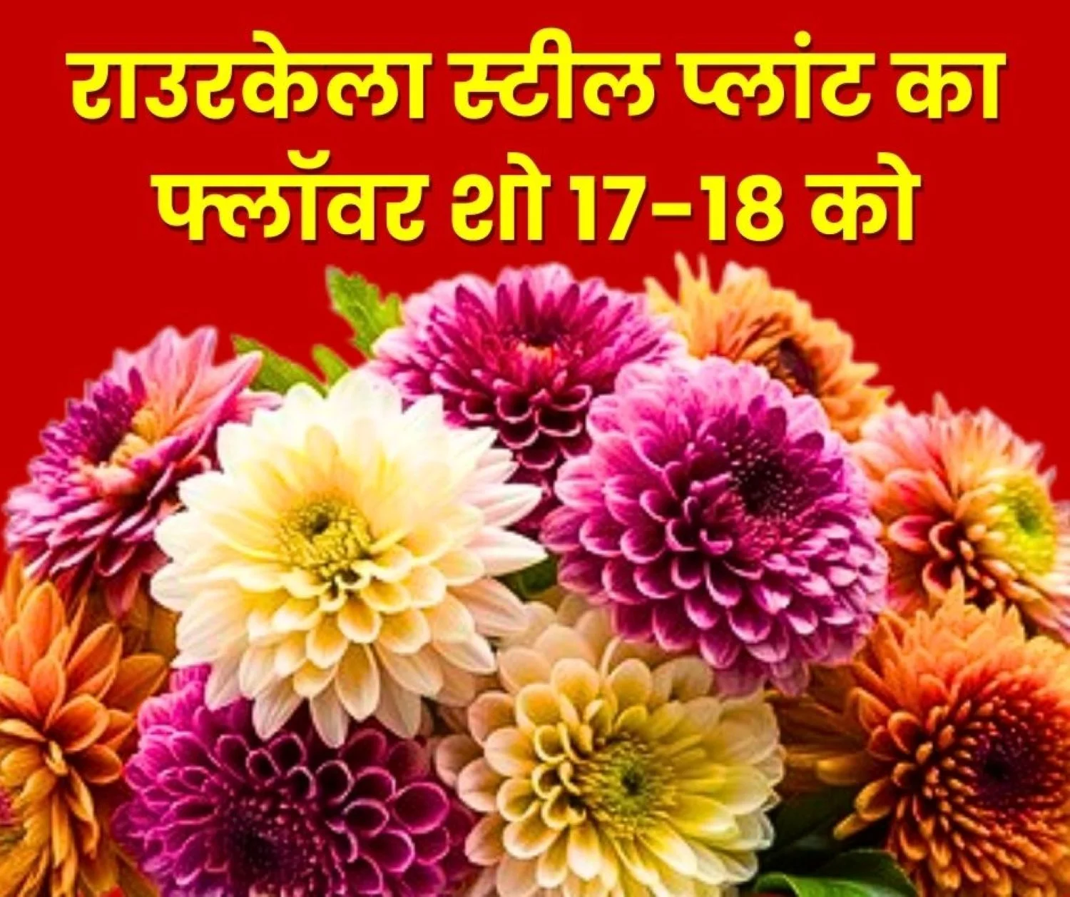 Rourkela Steel Plant Flower show on January 17-18 at Jubilee Park