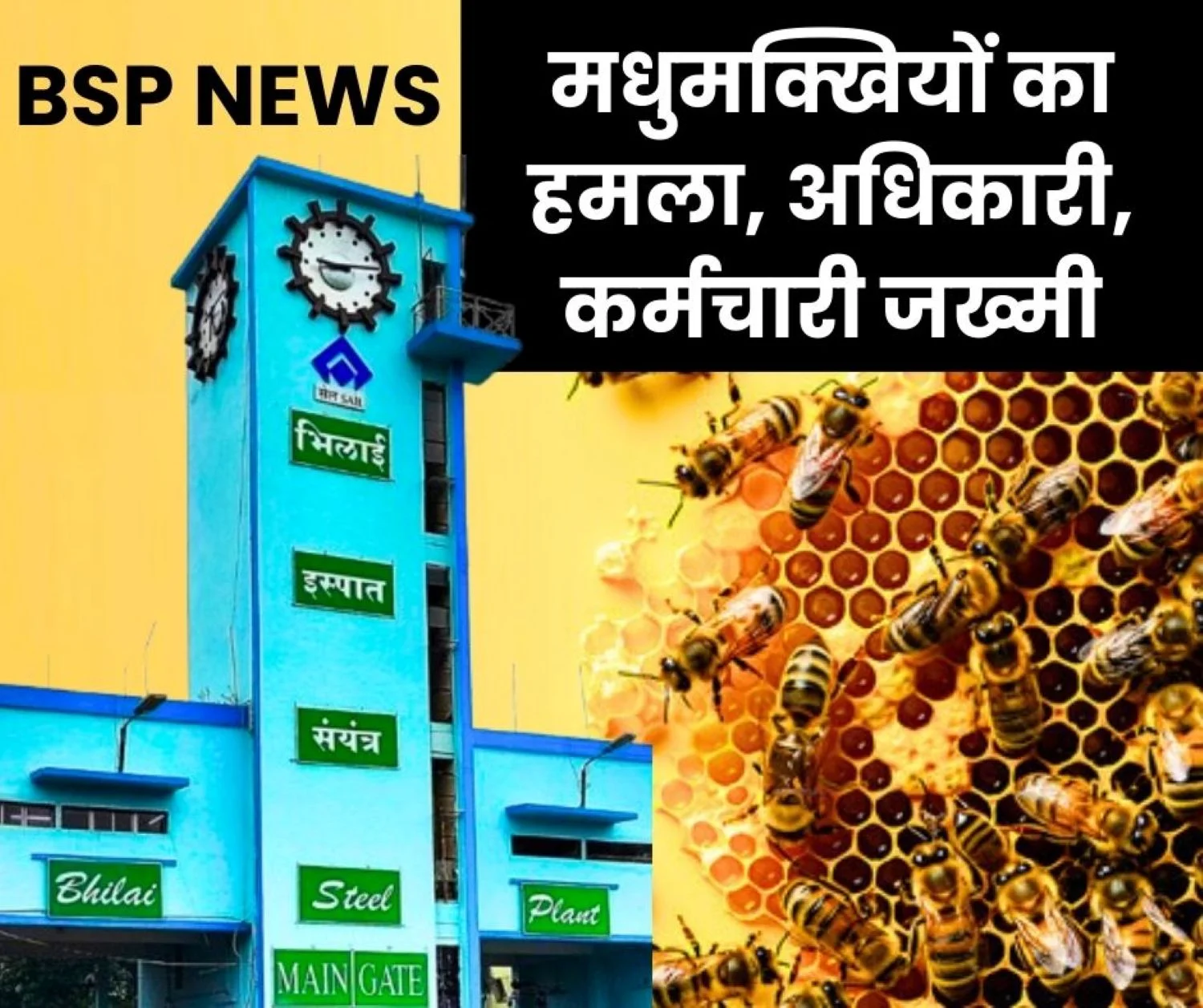 Bee Attack at Bhilai Steel Plant 3 Injured including an Officer