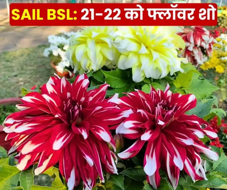 Bokaro Steel Plant Flower Show on February 21-22 Participate and Get Prizes