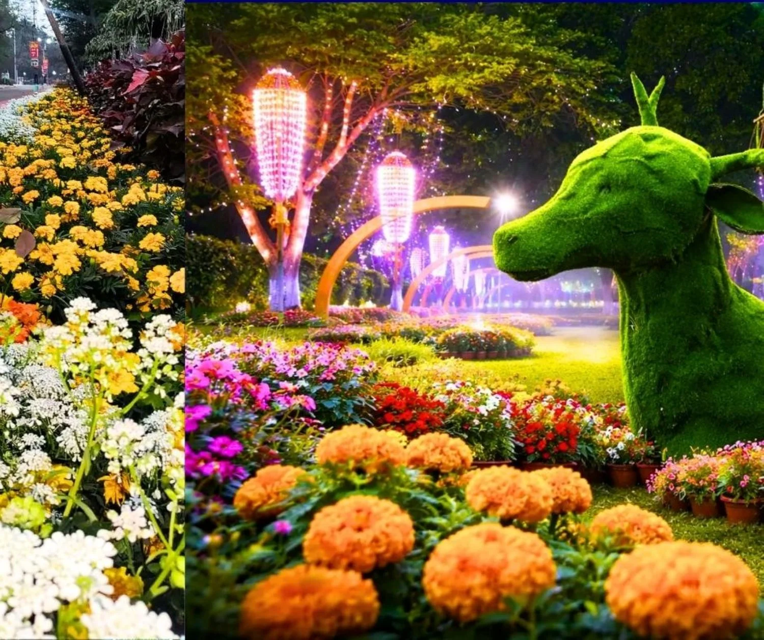 Maitribag Flower Show Celebrate Sunday in the Lap of Flowers, not at Home, with Plenty of Arrangements for Fun and Food