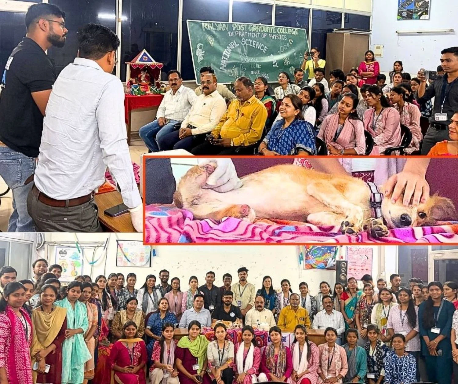 Animal Care Workshop at Kalyan College, First Aid for Both Humans and Animals