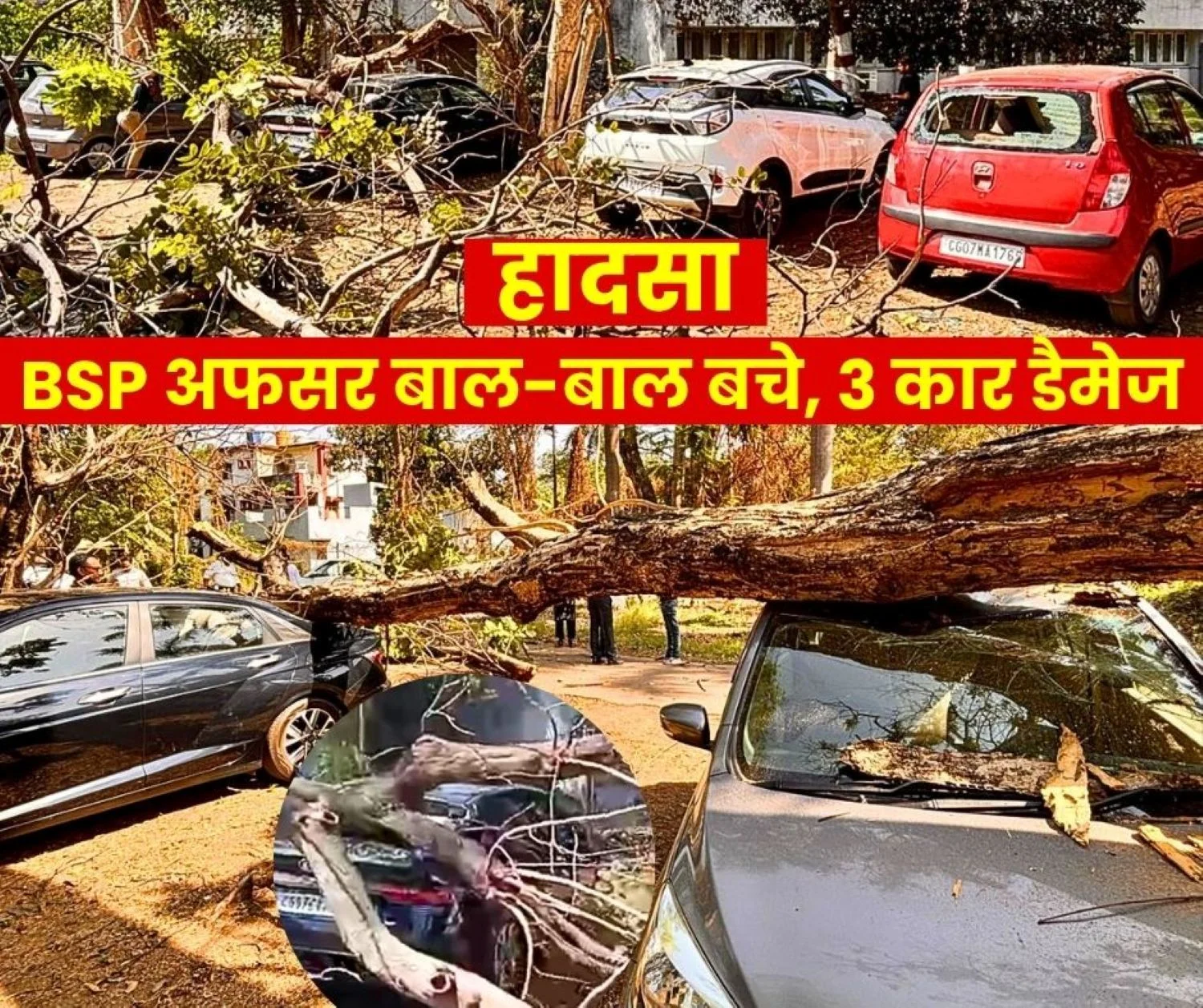 Accident in BSP BMDC Tree Falls on 3 Cars Officer Safe