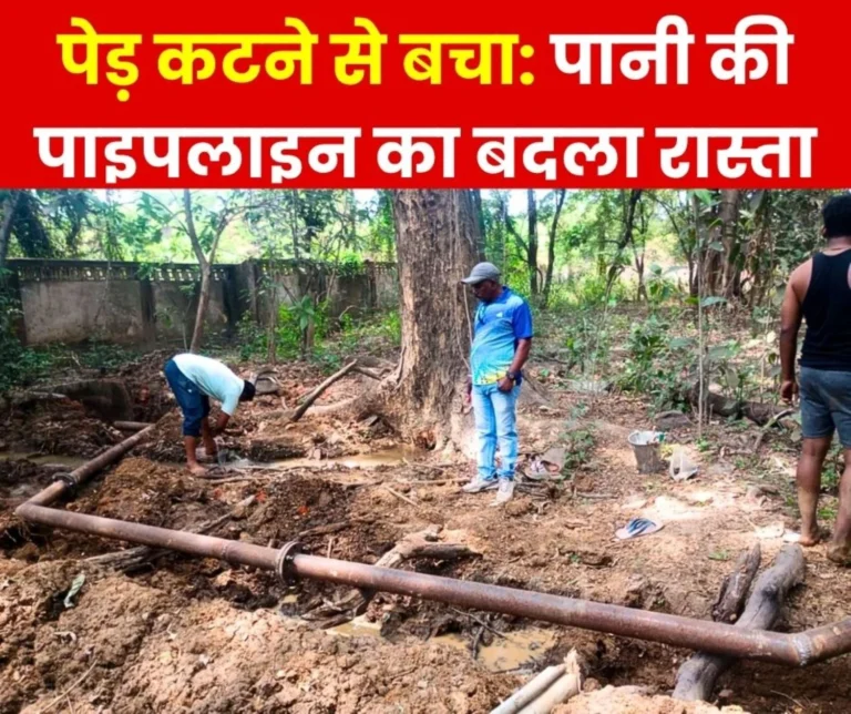 Bhilai Township Relief from Low Water Pressure Without Cutting Trees, PHE Gets Praise