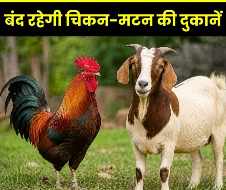 Meat Shops in Bhilai will Remain closed on Buddha Purnima Corporation Orders issued