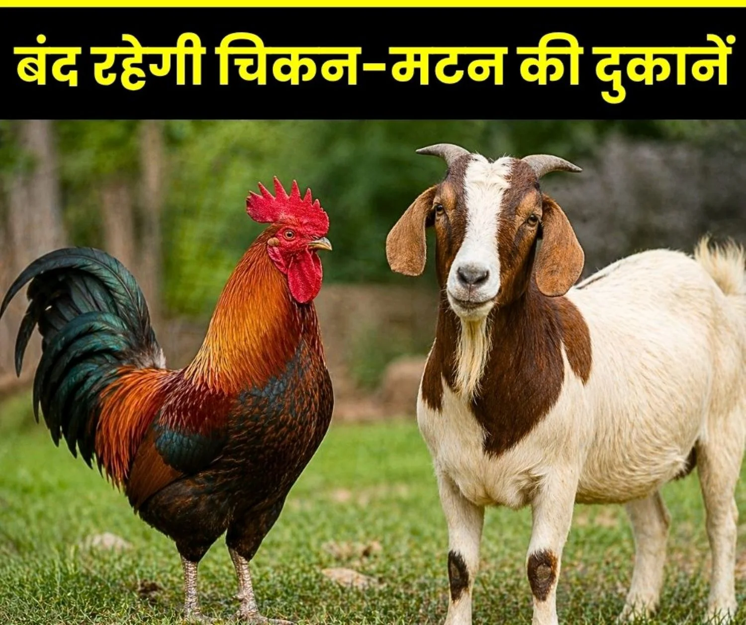 Meat Shops in Bhilai will Remain closed on Buddha Purnima Corporation Orders issued