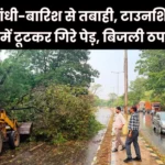 Dozens of Trees and Branches fell in Bhilai Township due to the Storm and Rain Power Supply was Disrupted