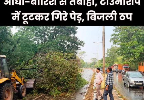 Dozens of Trees and Branches fell in Bhilai Township due to the Storm and Rain Power Supply was Disrupted