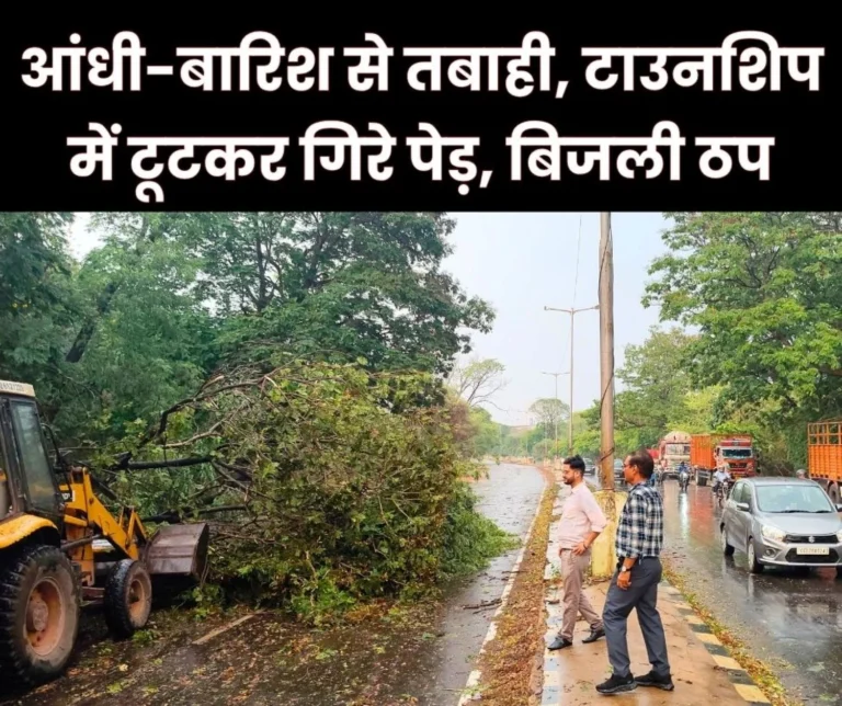 Dozens of Trees and Branches fell in Bhilai Township due to the Storm and Rain Power Supply was Disrupted