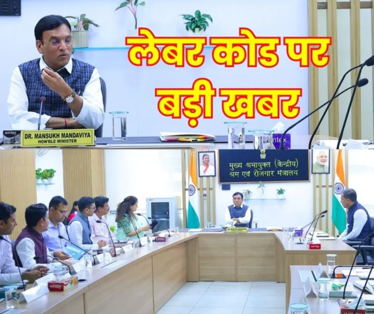 Government Strict on New Labor Planning of Labor Minister Mansukh Mandaviya