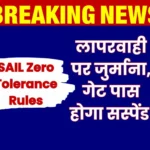 Zero Tolerance Rules Implemented at SAIL to Prevent Accidents Fines will be Imposed for any Mistake Gate Passes will be Suspended