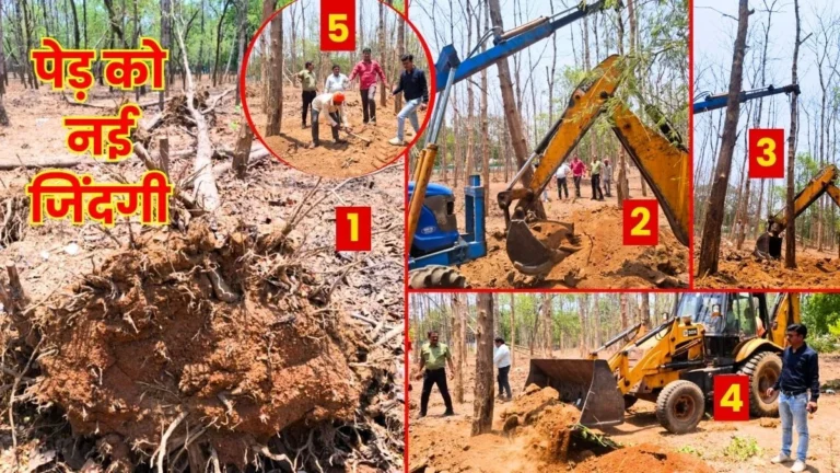 BSP Horticulture Departments Unique Campaign to Save Teak Trees Team Set out to Save Trees instead of Cutting 1