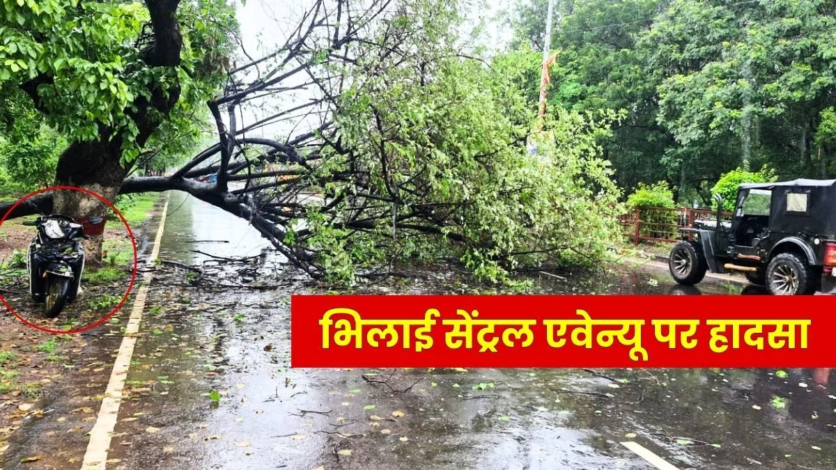 Impact of heavy Rain in Bhilai Tree Falls on Central Avenue Woman Sustains Minor Injuries