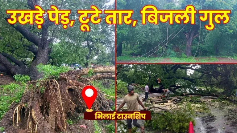 Bhilai Township Trees Uprooted and Power Lines Snapped amidst Rain and Strong Winds Power Outages in Several Sectors